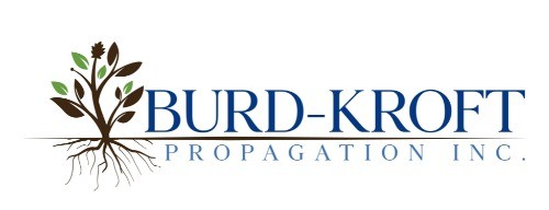 Burd-Kroft Propagation
