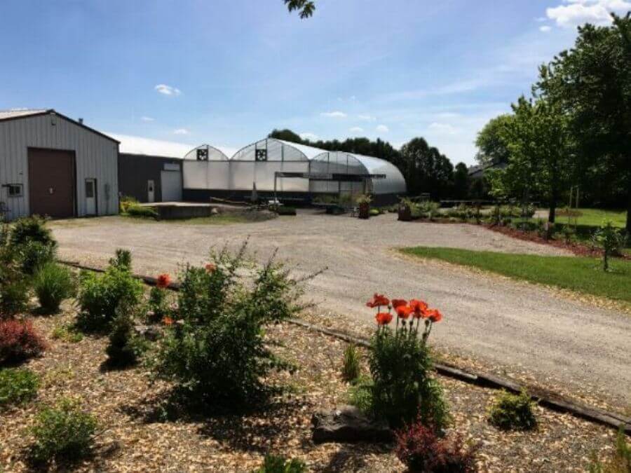 Strathroy Garden Centre Wholesale Plant Propagation